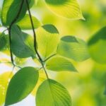 东升国际导航的全球合作伙伴及其影响 3zfxv1