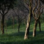 东升国际官网:了解不同市场的投资机会与挑战 6xe852s