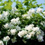 东升国际H5的市场竞争分析与应对策略 7e2oo