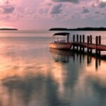 东升国际H5在房地产行业的创新应用 8jg99mc